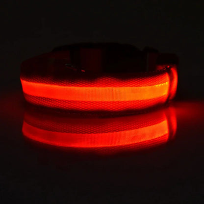 Nylon LED Night Safety Flashing Glow In The Dark Dog Leash Dogs Luminous Fluorescent Pet Dog Collar